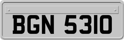 BGN5310