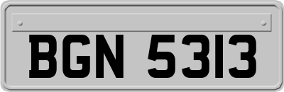 BGN5313