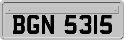 BGN5315
