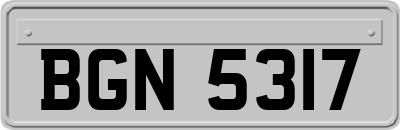 BGN5317