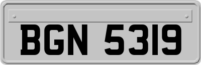 BGN5319