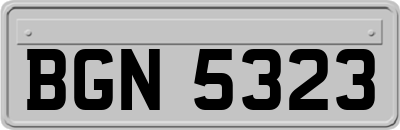 BGN5323