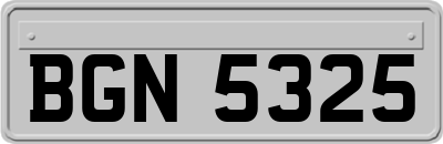 BGN5325