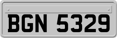 BGN5329