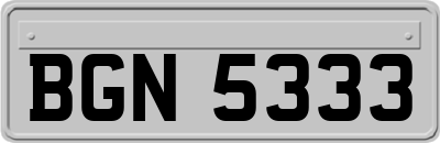 BGN5333