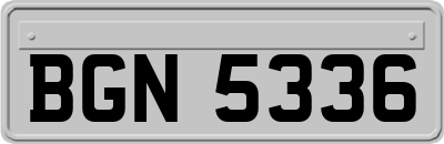 BGN5336