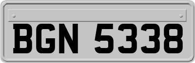 BGN5338