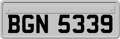BGN5339