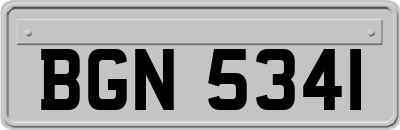BGN5341