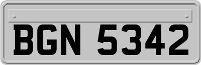 BGN5342