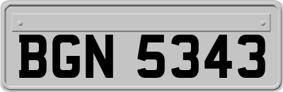 BGN5343