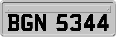BGN5344