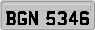 BGN5346