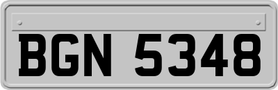 BGN5348