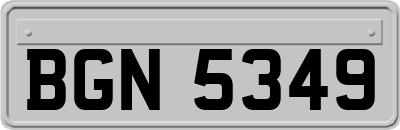 BGN5349
