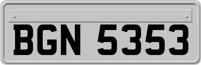 BGN5353