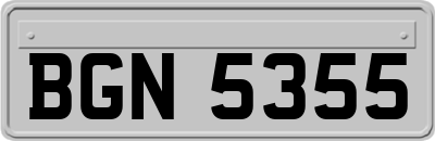 BGN5355