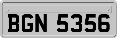 BGN5356