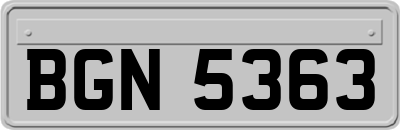 BGN5363