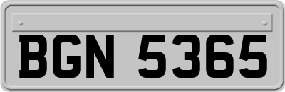 BGN5365