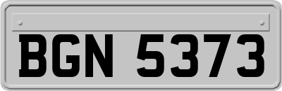 BGN5373