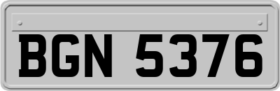 BGN5376