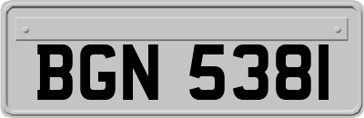 BGN5381