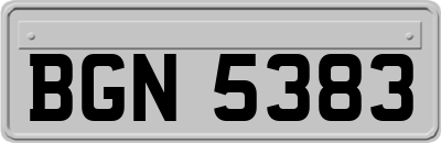 BGN5383