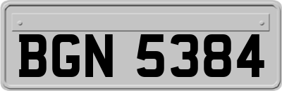 BGN5384
