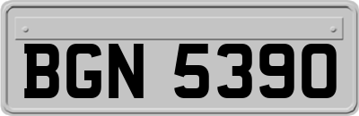 BGN5390
