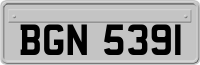BGN5391
