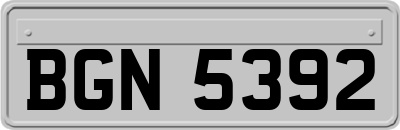 BGN5392