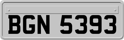 BGN5393