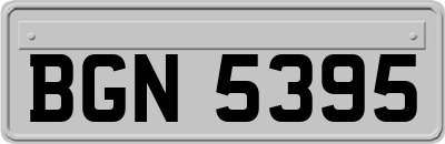 BGN5395