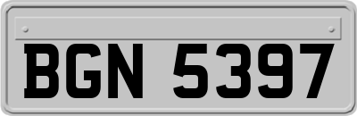 BGN5397