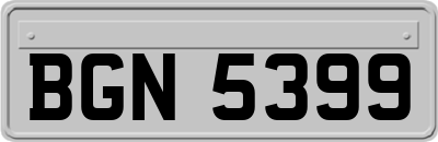 BGN5399