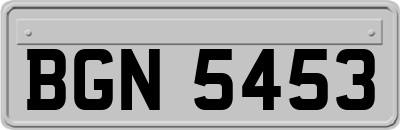 BGN5453