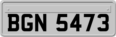 BGN5473