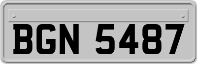 BGN5487