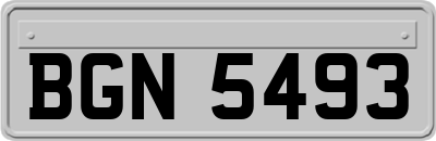 BGN5493