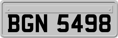 BGN5498
