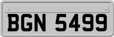 BGN5499