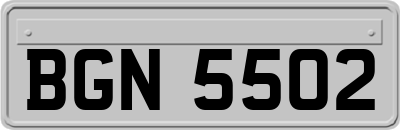 BGN5502