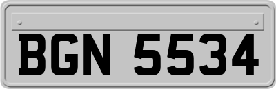BGN5534