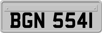 BGN5541
