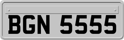 BGN5555