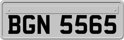 BGN5565