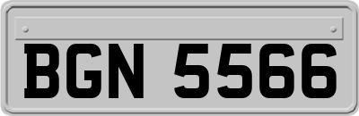 BGN5566