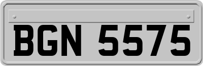BGN5575