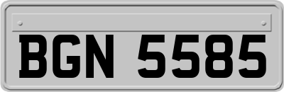 BGN5585